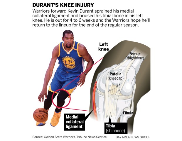 DURANT knee 03217
